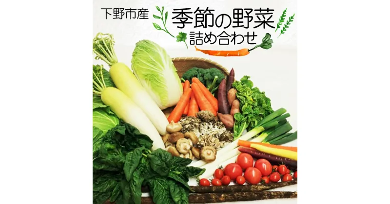 【ふるさと納税】下野市産 季節の 野菜 詰め合わせ | 野菜 詰め合わせ セット 新鮮 栃木県 特産品 下野市 しもつけ市