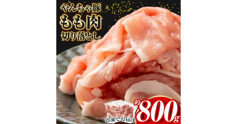 【ふるさと納税】下野市 黒沢牧場 やんちゃ豚 もも肉 切り落とし 約 800g | 肉 豚肉 豚 モモ肉 もも肉 やんちゃ豚 切り落とし 栃木県 特産品 下野市 しもつけ市