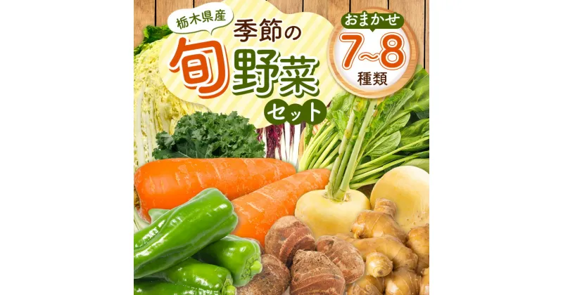 【ふるさと納税】季節の旬野菜おまかせセット | 農薬不使用 化学肥料不使用 送料無料 栃木県 特産