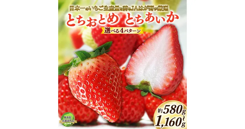 【ふるさと納税】【2025年先行予約】日本一のいちご生産量を誇るJAはが野が厳選 とちおとめ,とちあいか食べ比べ/とちあいか | 送料無料 栃木県 下野市 先行予約 いちご フルーツ 甘い ジューシー かき氷