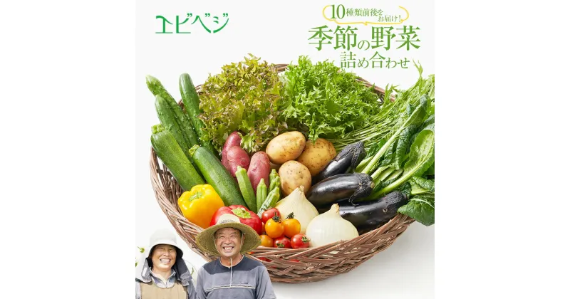 【ふるさと納税】エビベジ季節の野菜詰め合わせ（小） (10種類前後) | 旬 野菜 送料無料 栃木県 下野市 特産