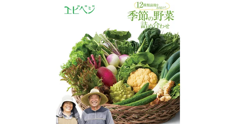 【ふるさと納税】エビベジ季節の野菜詰め合わせ（大） (12種類前後) | 旬 こだわり 野菜 エビベジ ふるさと 納税 送料無料 栃木県 下野市 特産