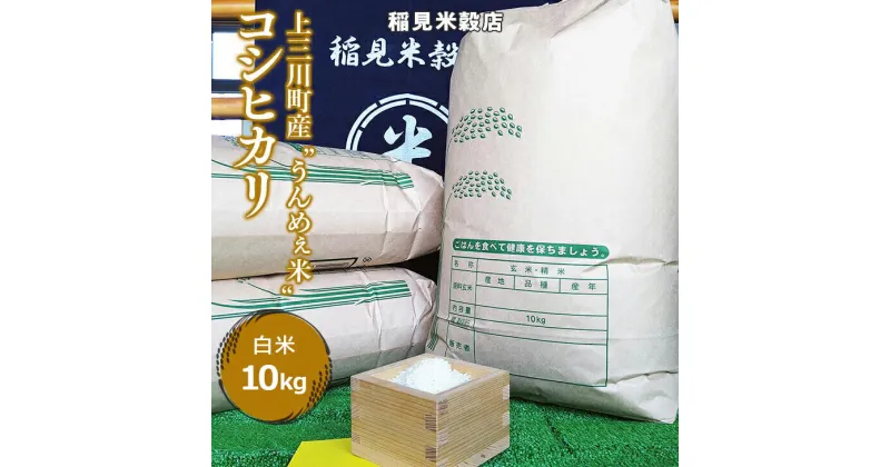 【ふるさと納税】[令和6年度産] 栃木県上三川町産コシヒカリ・白米 (10kg×1袋) ◇ | 国産 栃木県産 コシヒカリ 米 お米 単一原料米 精米 白米 栃木米 とちぎ米 産地直送 送料無料