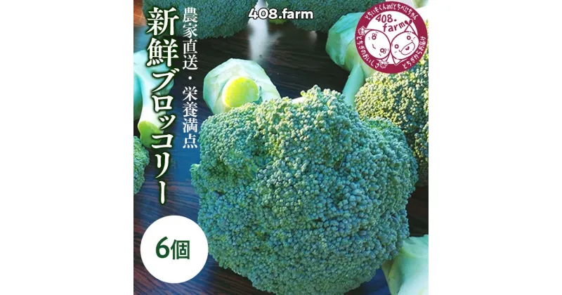 【ふるさと納税】農家直送・栄養満点☆新鮮ブロッコリー！※2024年11月中旬頃～順次発送予定