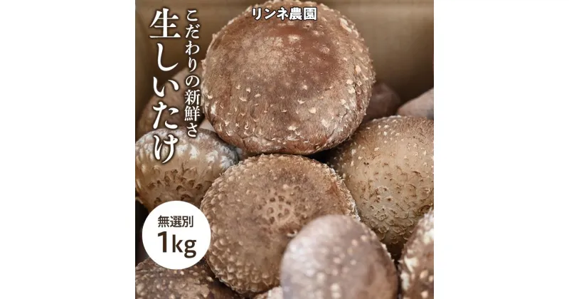 【ふるさと納税】生しいたけ　無選別1kg