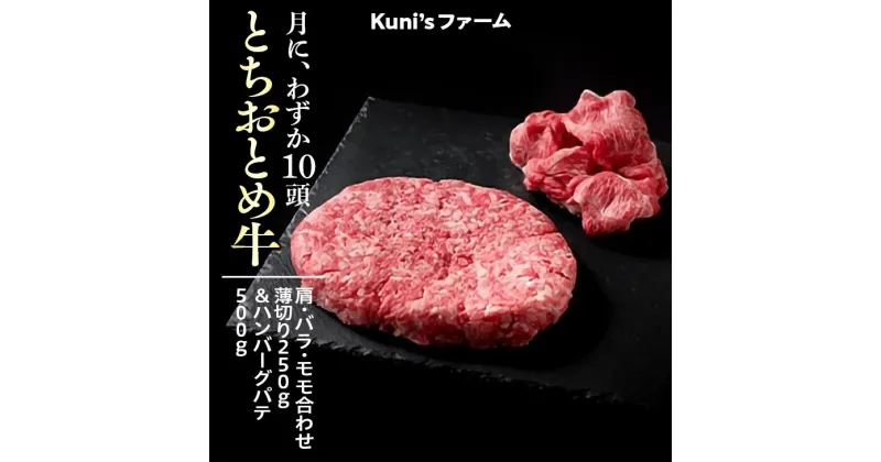 【ふるさと納税】とちおとめ牛　肩・バラ・モモ合わせ薄切り250g＆ハンバーグパテ500gセット 牛肉 ハンバーグ