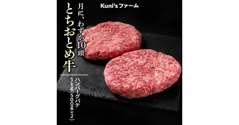 【ふるさと納税】とちおとめ牛　ハンバーグパテ1kg(500g×2) 牛肉 パテ ※離島への配送不可