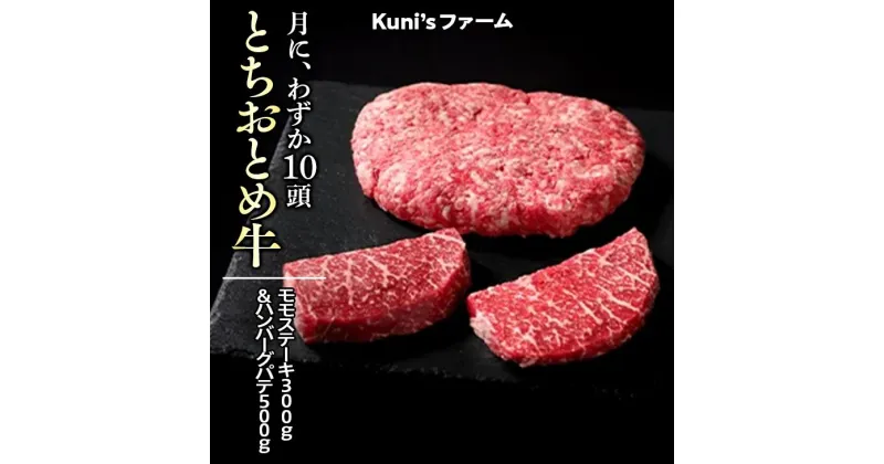 【ふるさと納税】とちおとめ牛　モモステーキ300g＆ハンバーグパテ500gセット｜牛肉 肉加工品