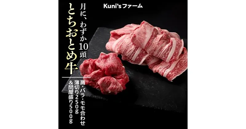 【ふるさと納税】とちおとめ牛　肩・バラ・モモ合わせ薄切り250g＆問屋盛り500gセット｜牛肉 希少 炒め物 詰め合わせ※離島への配送不可