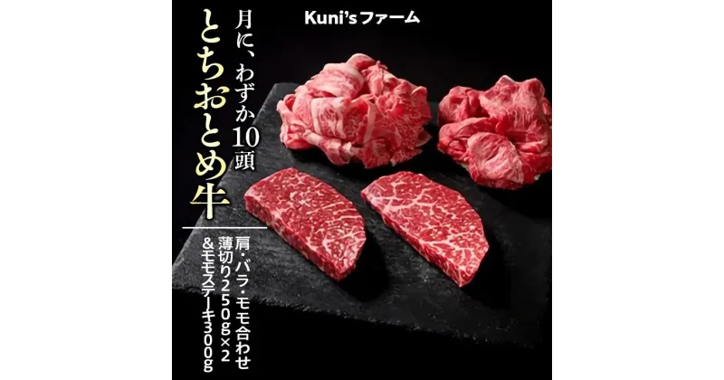 【ふるさと納税】とちおとめ牛　肩・バラ・モモ合わせ薄切り250g×2＆モモステーキ300gセット｜牛肉 希少 炒め物 詰め合わせ