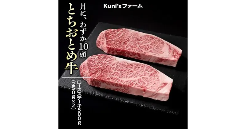 【ふるさと納税】とちおとめ牛　ロースステーキ500g(250g×2) 牛肉 ステーキ