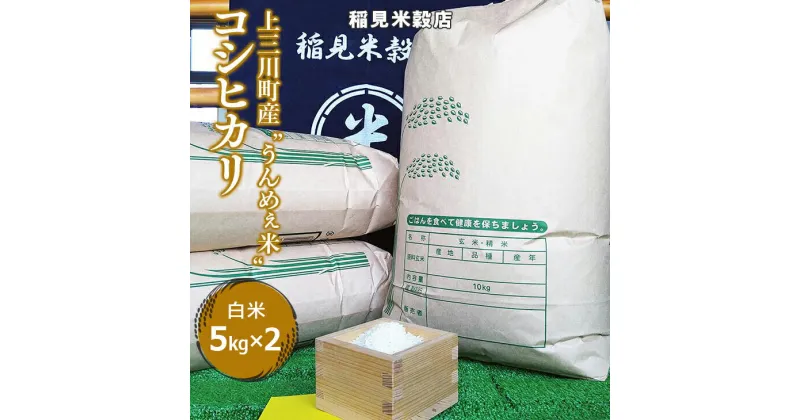 【ふるさと納税】[令和6年度産] 栃木県上三川町産コシヒカリ・白米 (5kg×2袋) ◇ | 国産 栃木県産 コシヒカリ 米 お米 単一原料米 精米 白米 栃木米 とちぎ米 産地直送 送料無料