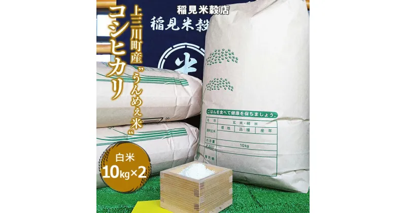 【ふるさと納税】[令和6年度産]栃木県上三川町産コシヒカリ・白米 (10kg×2袋) ◇ | 国産 栃木県産 コシヒカリ 米 お米 単一原料米 精米 白米 栃木米 とちぎ米 産地直送 送料無料