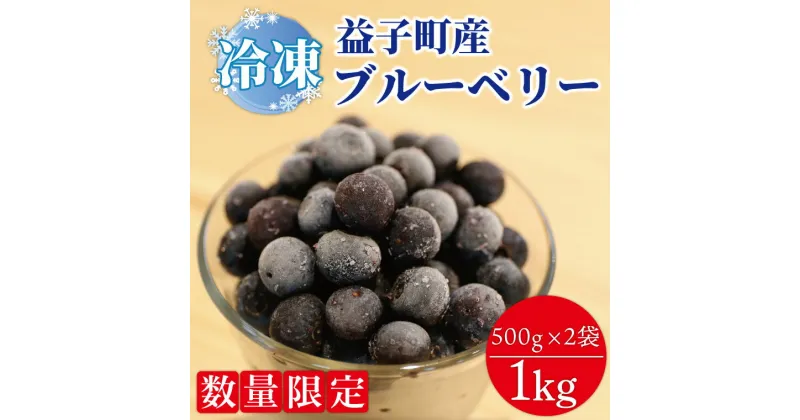 【ふるさと納税】【数量限定】益子町産　冷凍ブルーベリー1kg　フルーツ　果物(AA020-1)