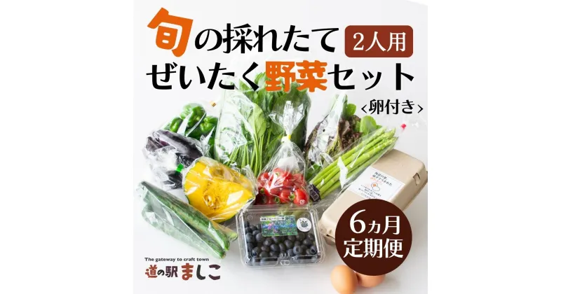 【ふるさと納税】＜6か月定期便＞旬の採れたてぜいたく野菜セット（卵付き）2人用(AA034)