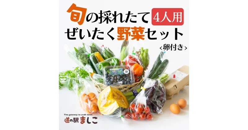 【ふるさと納税】旬の採れたてぜいたく野菜セット（卵付き）4人用(AA005)