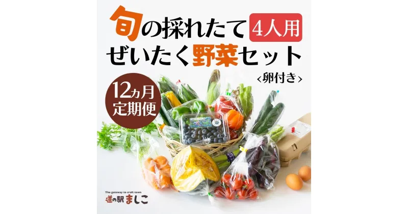 【ふるさと納税】＜12ヶ月定期便＞旬の採れたてぜいたく野菜セット（卵付き）4人用(AA036)