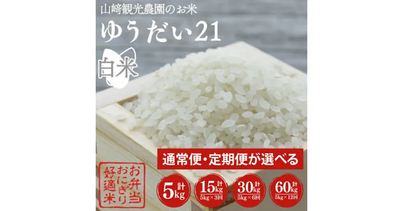 【ふるさと納税】【選べる】山崎観光農園のお米　令和6年産　ゆうだい21　白米5kg　定期便(AU006)