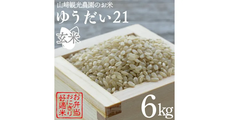 【ふるさと納税】山崎観光農園のお米　令和6年産　ゆうだい21玄米6kg(AU007)