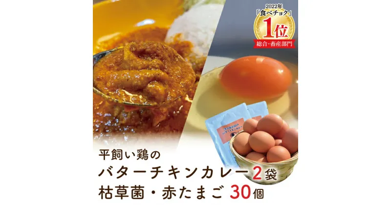 【ふるさと納税】「平飼い鶏のバターチキンカレー2袋」と「枯草菌・赤卵30個」のセット(BC002)