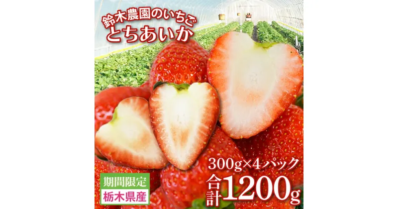 【ふるさと納税】【2024年12月より順次発送】鈴木農園のいちご　とちあいか 約300g×4パック(DJ001)