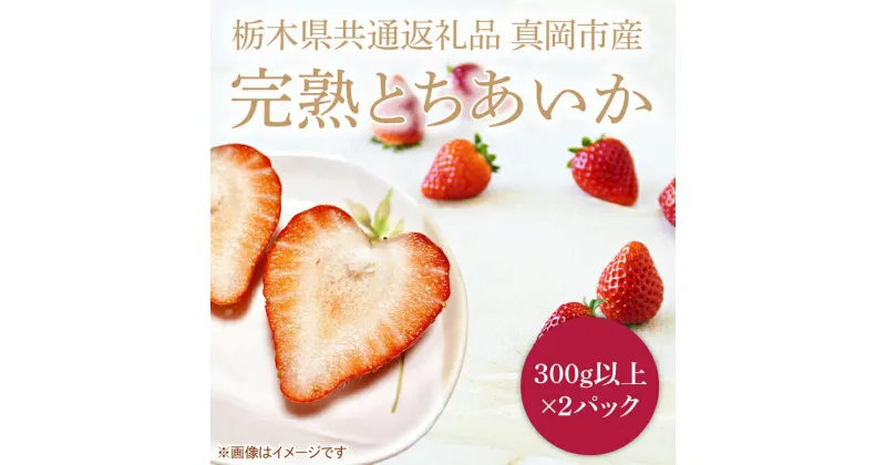 【ふるさと納税】【先行予約】【数量限定】完熟とちあいか　約600g【栃木県共通返礼品/真岡市産】(DM001)