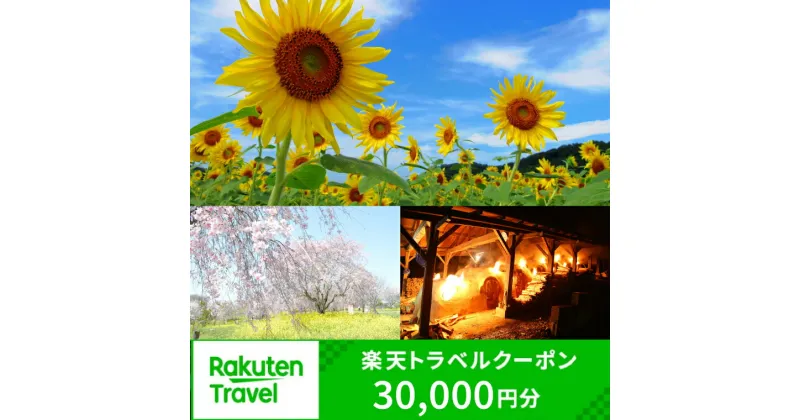 【ふるさと納税】楽天限定 栃木県益子町の対象施設で使える楽天トラベルクーポン 寄附額100,000円(DP002)