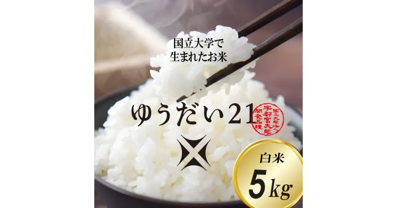 【ふるさと納税】【先行予約】【数量限定】【10月中旬発送開始】あい　farm　やなぎのお米令和6年産ゆうだい21白米5Kg(DQ005)