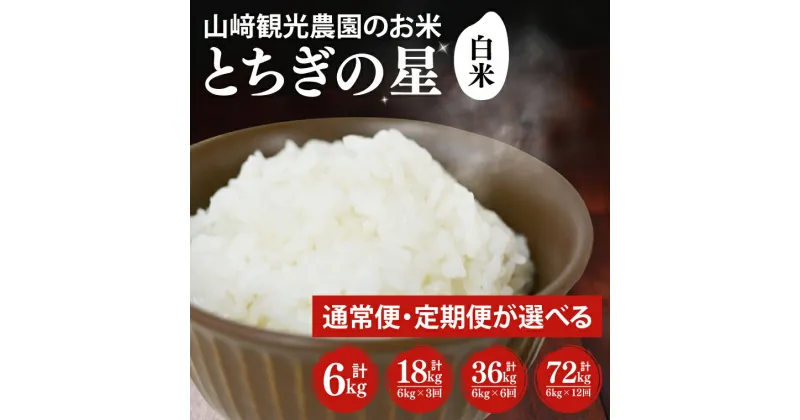 【ふるさと納税】【選べる】山崎観光農園のお米　令和6年産　とちぎの星　白米6kg　定期便(AU023)