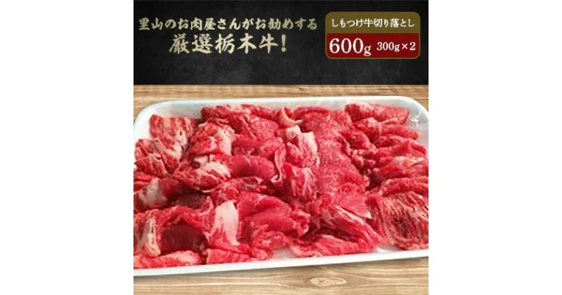 【ふるさと納税】里山のお肉屋さんがお勧めする厳選栃木牛! しもつけ牛切り落とし 300g×2ケ【配送不可地域：離島】【1248235】