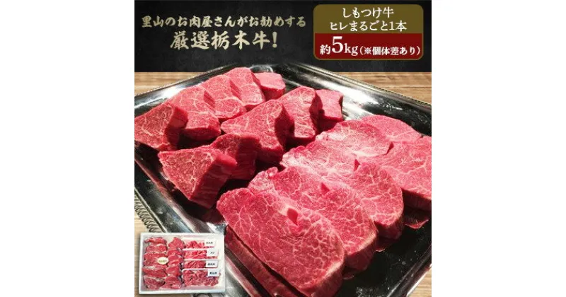 【ふるさと納税】里山のお肉屋さんがお勧めする厳選栃木牛!しもつけ牛 ヒレまるごと1本【配送不可地域：離島】【1248251】