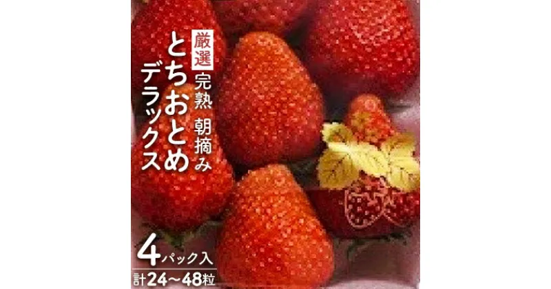 【ふるさと納税】【11月中旬より発送】鈴木ファームの★厳選★完熟★朝摘み★とちおとめデラックス　4パック入り【配送不可地域：離島、北海道、沖縄県、山口県、九州】【1259138】