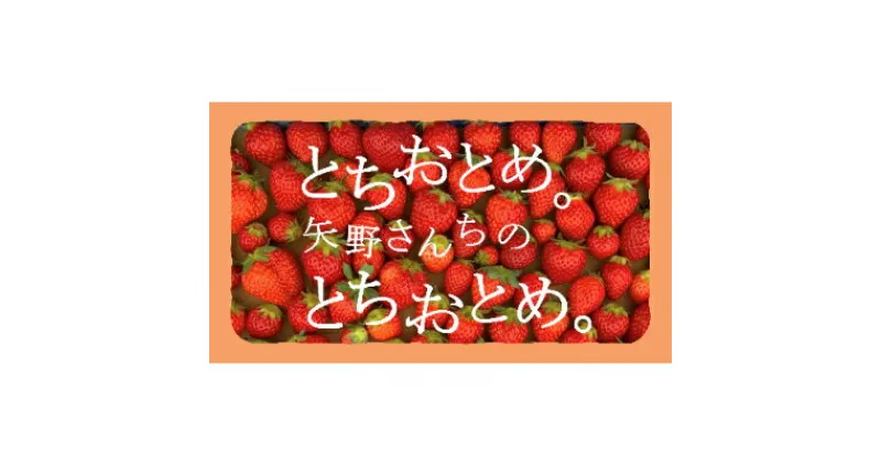 【ふるさと納税】完熟とちおとめ　デラックスタイプ4パック(1パックあたり6～12粒)【配送不可地域：離島・北海道・沖縄県・九州】【1261213】