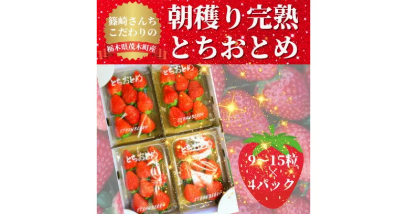 【ふるさと納税】【1月から順次発送】篠崎さんちのいちご　もてぎの完熟とちおとめ(9～15粒×4パック)【配送不可地域：離島・北海道・沖縄県・九州】【1266486】