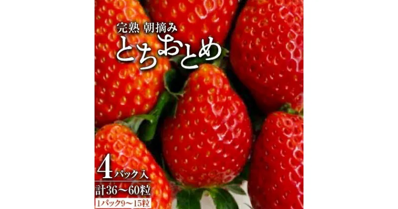 【ふるさと納税】【11月下旬から順次発送】鈴木いちご園の★完熟★朝摘み★とちおとめ　4パック入り【配送不可地域：離島・北海道・沖縄県・九州】【1259130】