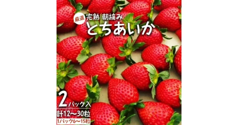 【ふるさと納税】【11月中旬より発送】鈴木いちご園の★厳選★完熟★朝摘み★とちあいかDX　2パック入り【配送不可地域：離島・北海道・沖縄県・九州】【1259137】