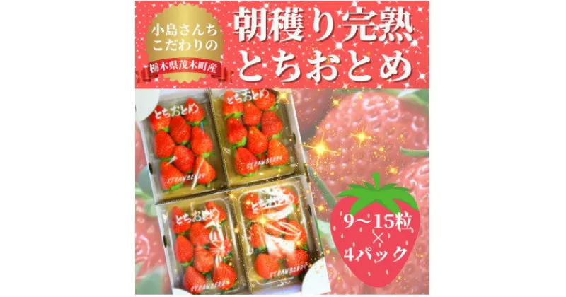 【ふるさと納税】【1月から順次発送】小島さんちの完熟とちおとめ(9～15粒×4パック)【配送不可地域：離島・北海道・沖縄県・九州】【1268933】