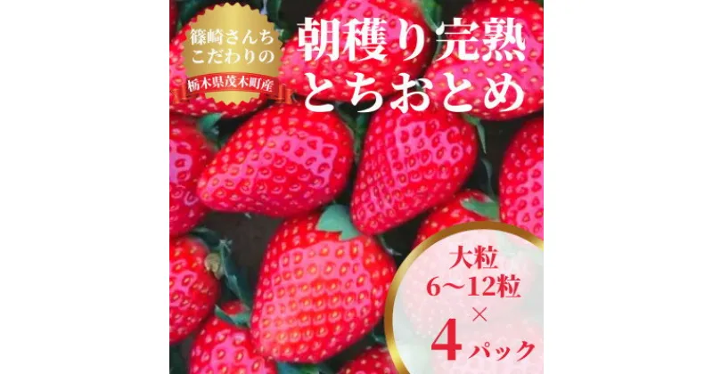 【ふるさと納税】【1月から順次発送】篠崎さんちのいちご　もてぎの大きめ完熟とちおとめ(6～12粒×4パック)【配送不可地域：離島・沖縄県】【1267483】