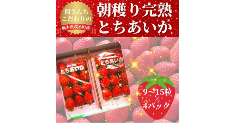 【ふるさと納税】【12月中旬から順次発送】関さんちのこだわりいちご 朝穫り完熟とちあいか 9～15粒×4パック【配送不可地域：離島】【1367041】