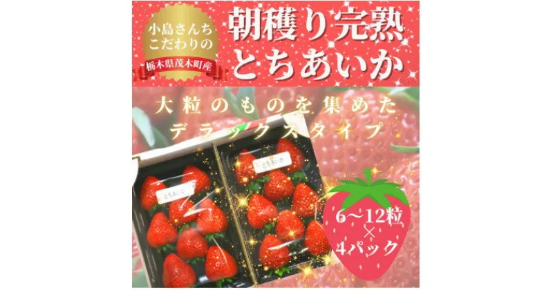 【ふるさと納税】【12月中旬から順次発送】小島さんちのとちあいか デラックス4パック(1パック 6～12粒)【配送不可地域：離島】【1372201】