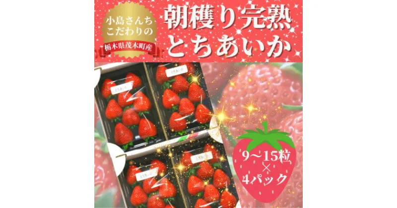 【ふるさと納税】【12月中旬から順次発送】小島さんちのとちあいか レギュラー4パック(1パック 9～15粒)【配送不可地域：離島・北海道・沖縄県・信越、北陸・東海・近畿・中国・四国・九州】【1372188】