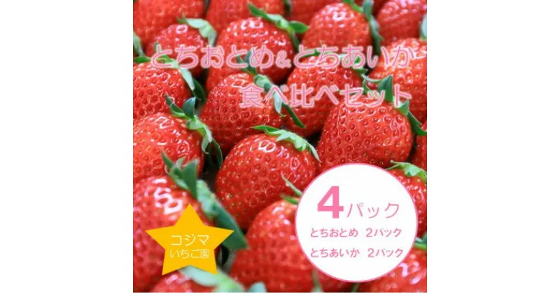 【ふるさと納税】【1月から順次発送】小島さんちの完熟とちおとめ&とちあいか 食べ比べセット 4パック入り【配送不可地域：離島】【1478946】