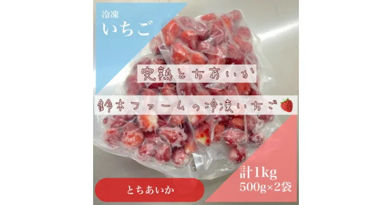 【ふるさと納税】栃木県茂木町産　冷凍いちご　完熟とちあいか　500g×2【配送不可地域：離島】【1512600】