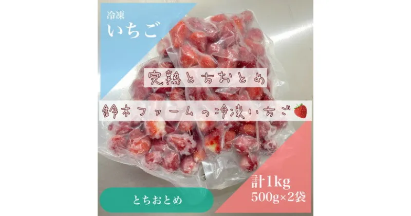 【ふるさと納税】栃木県茂木町産　冷凍いちご　完熟とちおとめ　500g×2【配送不可地域：離島】【1513532】