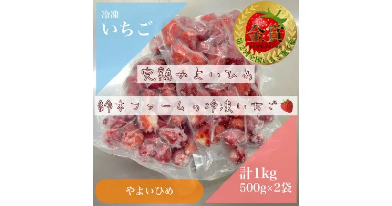 【ふるさと納税】栃木県茂木町産　冷凍いちご　完熟やよいひめ　500g×2【配送不可地域：離島】【1513555】