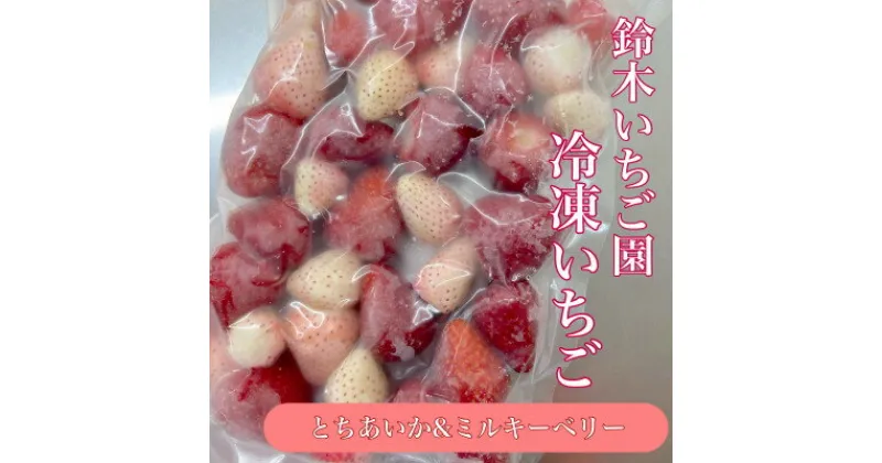 【ふるさと納税】栃木県茂木町産　紅白冷凍いちご　完熟　とちあいか&ミルキーベリー　1kg(500g×2袋)【配送不可地域：離島】【1515605】