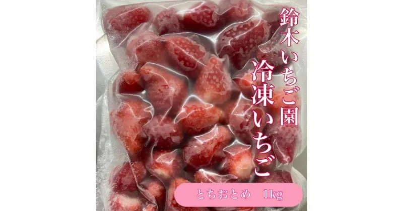 【ふるさと納税】栃木県茂木町産　冷凍いちご　完熟　とちおとめ　1kg(500g×2袋)【配送不可地域：離島】【1515666】