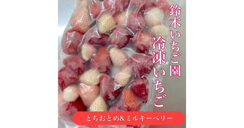 【ふるさと納税】栃木県茂木町産　紅白冷凍いちご　完熟　とちおとめ&ミルキーベリー　1kg(500g×2袋)【配送不可地域：離島】【1517431】