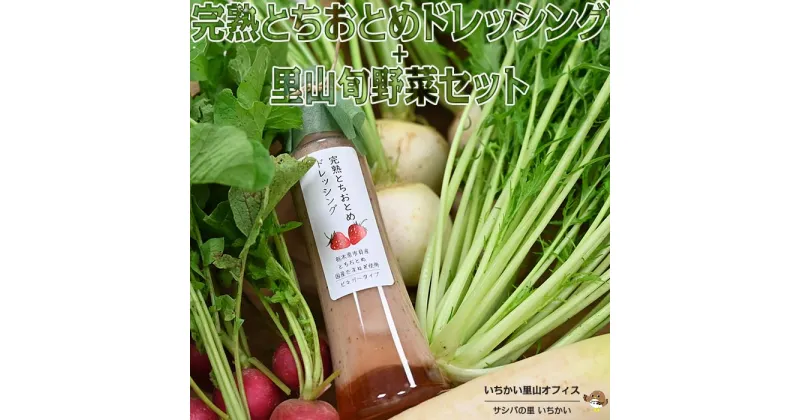 【ふるさと納税】完熟とちおとめドレッシングと里山旬野菜セット