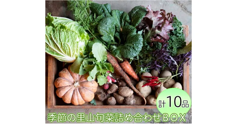 【ふるさと納税】わたね　季節の里山旬菜詰め合わせBOX（計10品）≪ギフト セット 野菜 無農薬 グルメ≫※着日指定不可